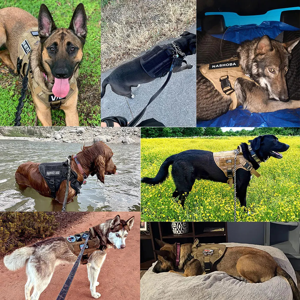 Petravel Padded Quick Release Dog Training Harness Vest