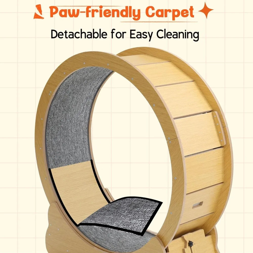 Cat Wheel for Indoor Cats by NoEnName