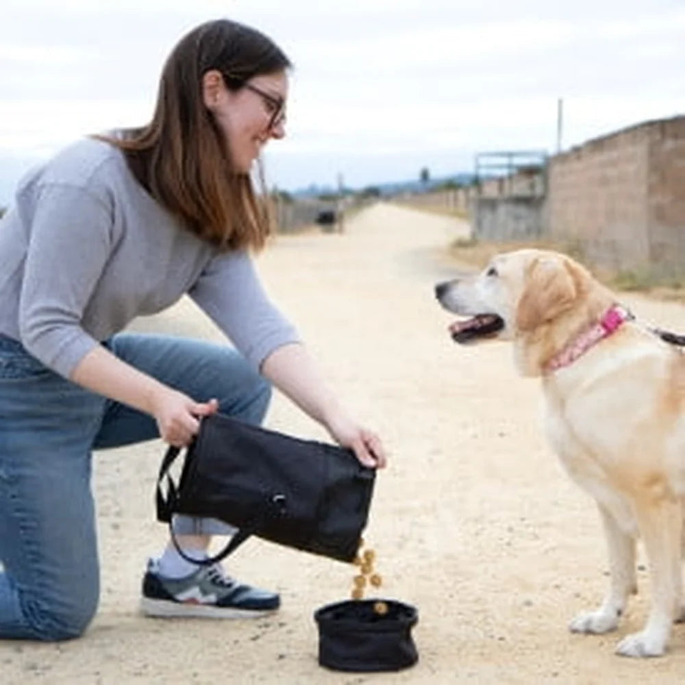 XMSJ Portable Pet Food Storage Bag with Removable Bowl