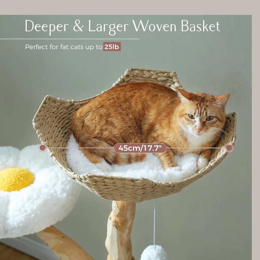 Dafify Cat Tree with Large Basket and Hammock