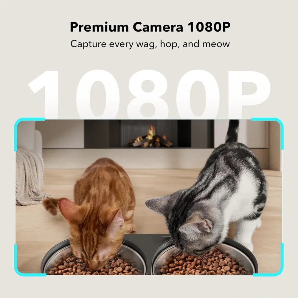 Automatic Cat Feeder with Camera by NoEnName