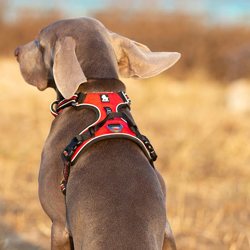 Truelove Reflective No Pull Dog Harness For Walking