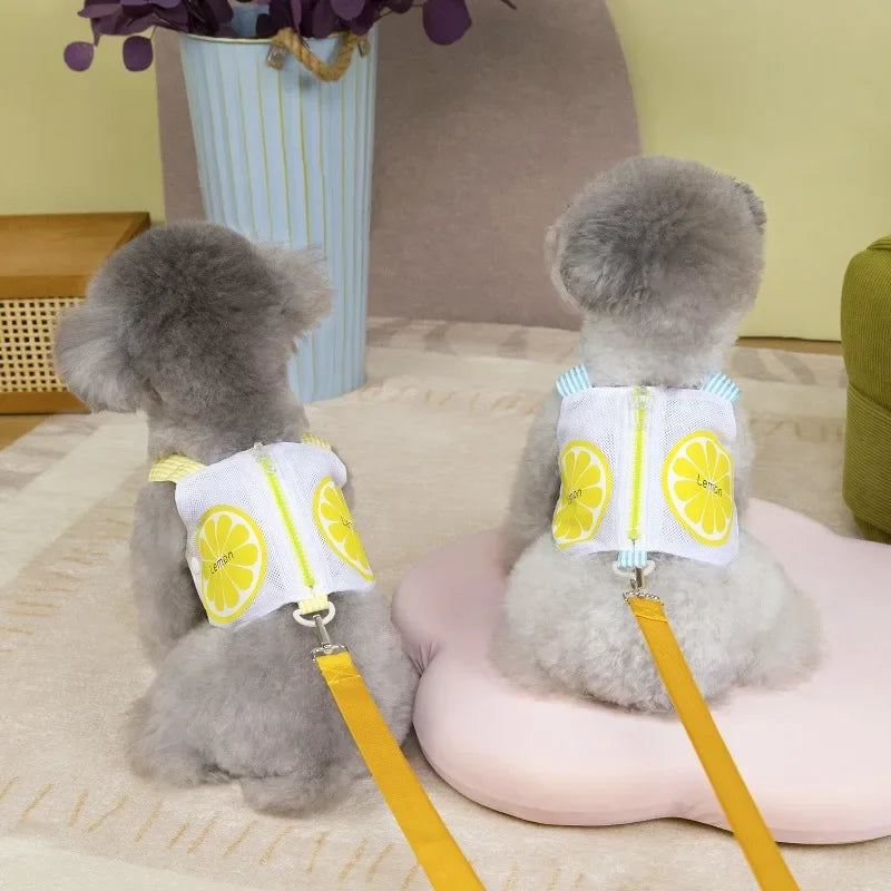 Pet Dog Harness Vest Summer Breathable Puppy Accessories Blue Yellow Dog Harnesses With Leash Kitten Chest Strap Leash Set XXL