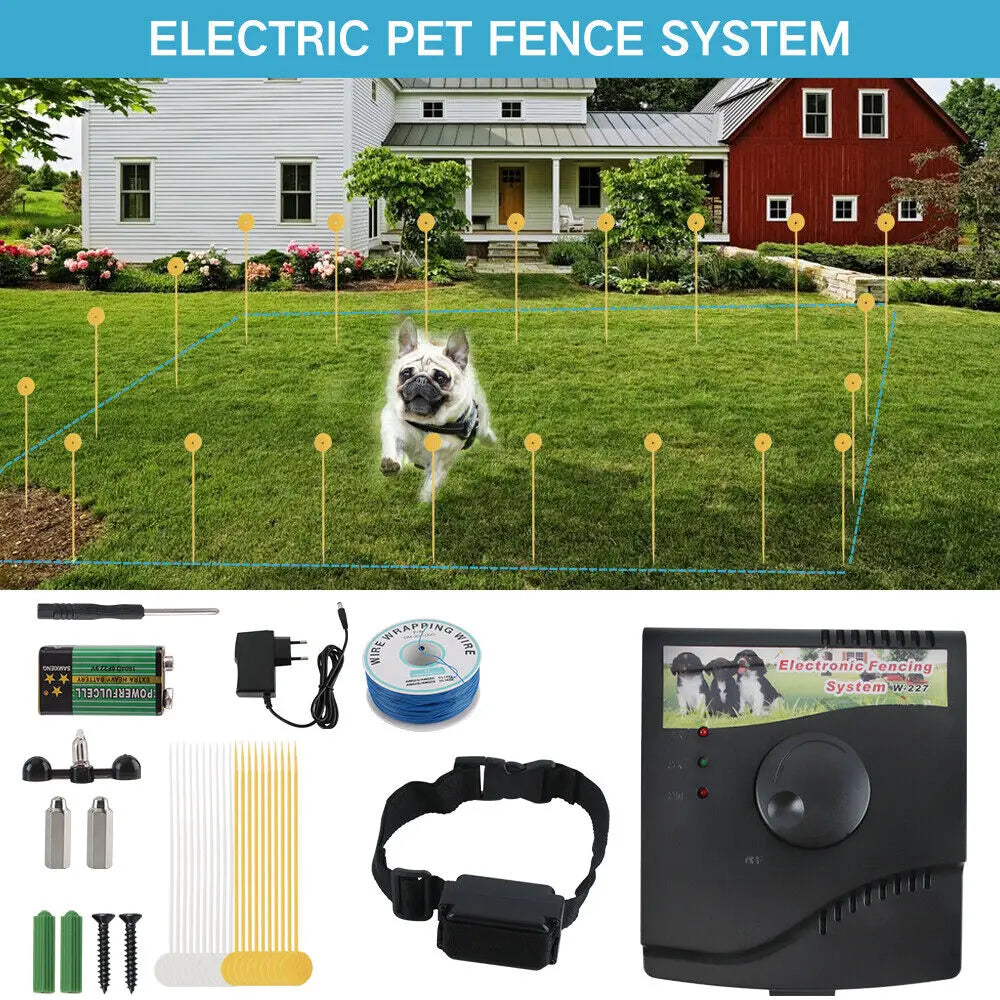 GuangdongHign Concerned Electric Dog Fence Training System