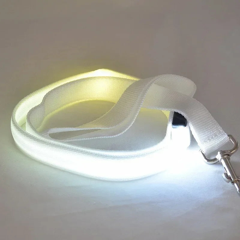 LED Glowing Dog Leash by NoEnName