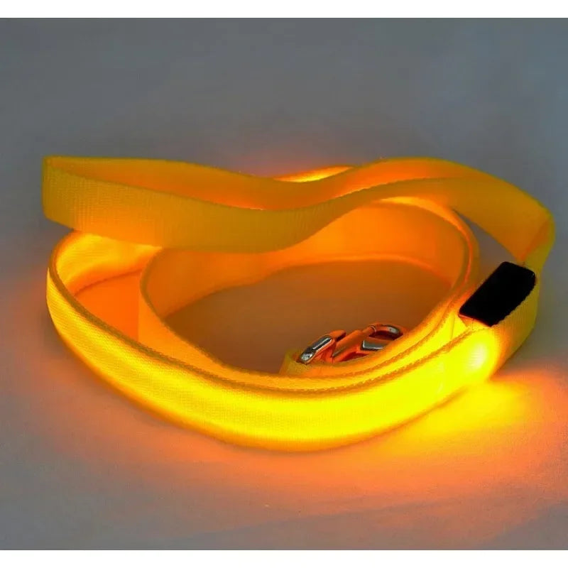 LED Glowing Dog Leash by NoEnName