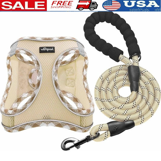 No Pull Dog Harness and Leash Set by NoEnName