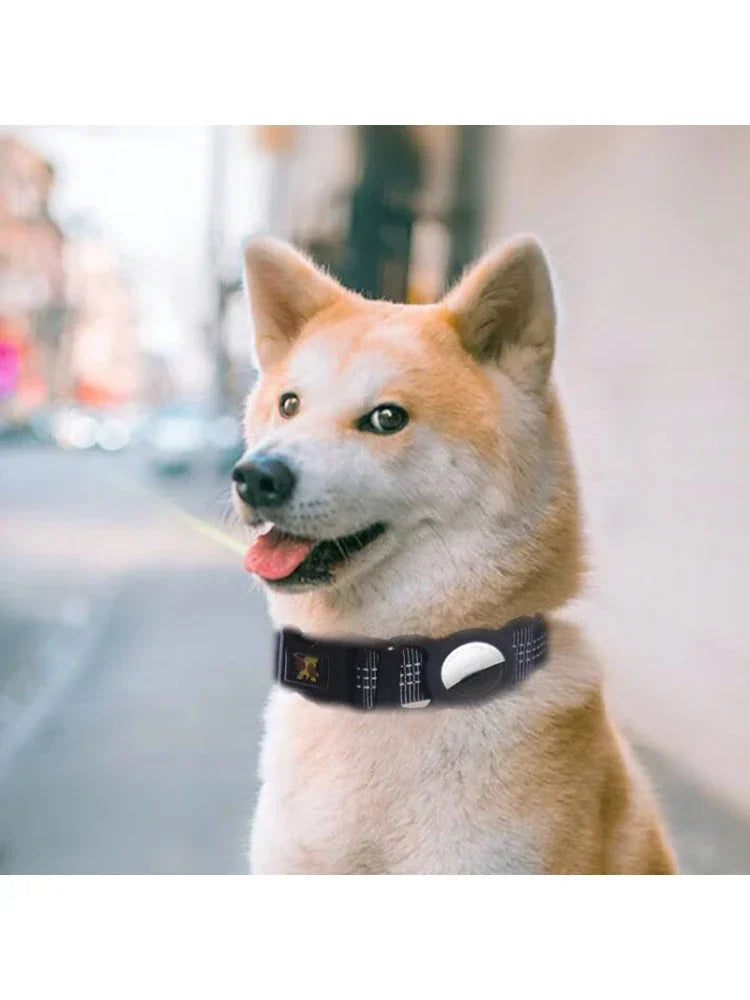 CN Guangdong Reflective Nylon Dog Collar With AirTag Case