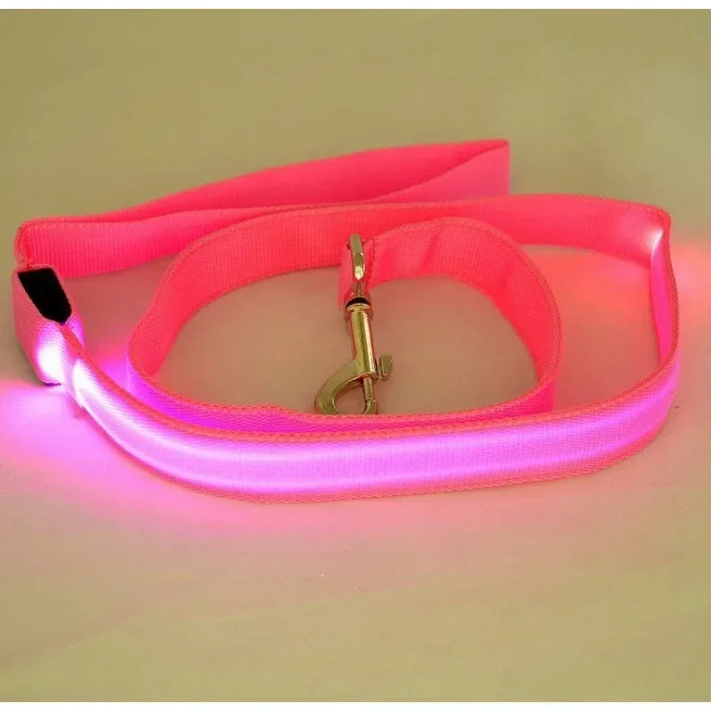 LED Glowing Dog Leash by NoEnName