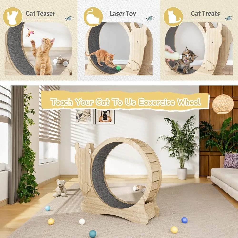 Cat Exercise Wheel with Locking Mechanism and Silent Design
