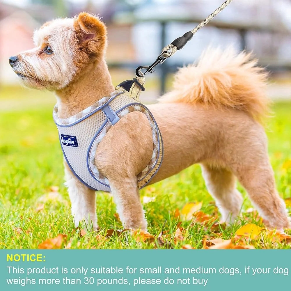 No Pull Dog Harness and Leash Set by NoEnName