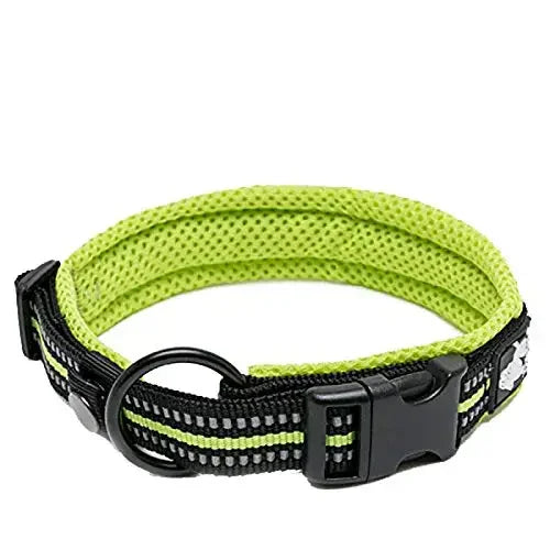 Truelove Padded Reflective Nylon Dog Collar With Quick Release