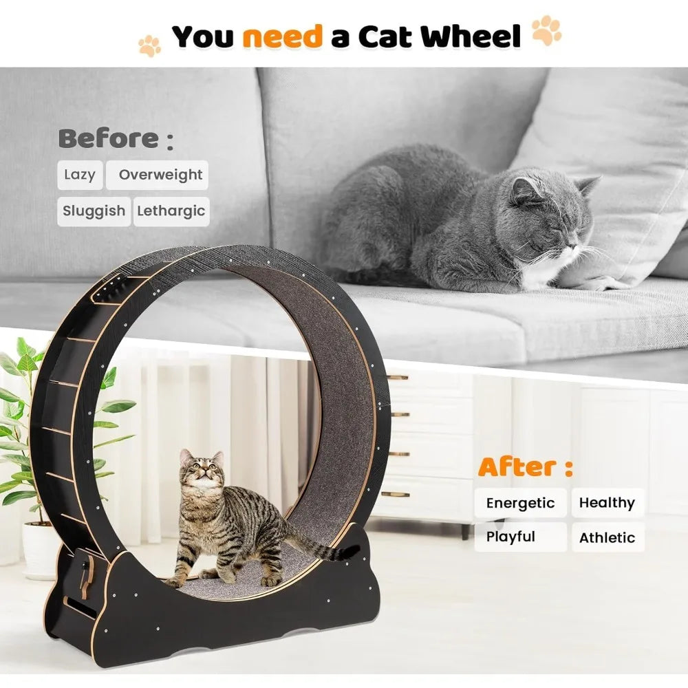 Cat Wheel Large Exercise Wheel for Indoor Cats