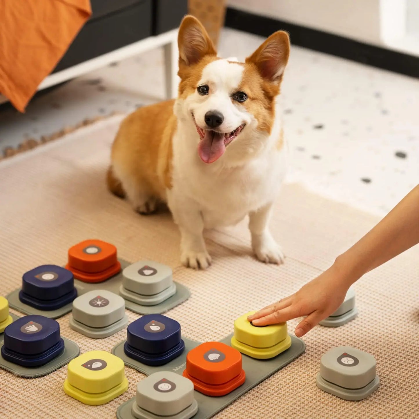 MewooFun Dog Button Record Talking Toy Communication Device