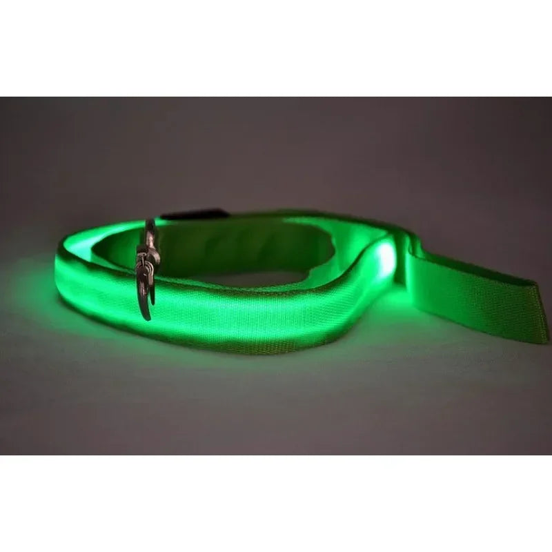 LED Glowing Dog Leash by NoEnName