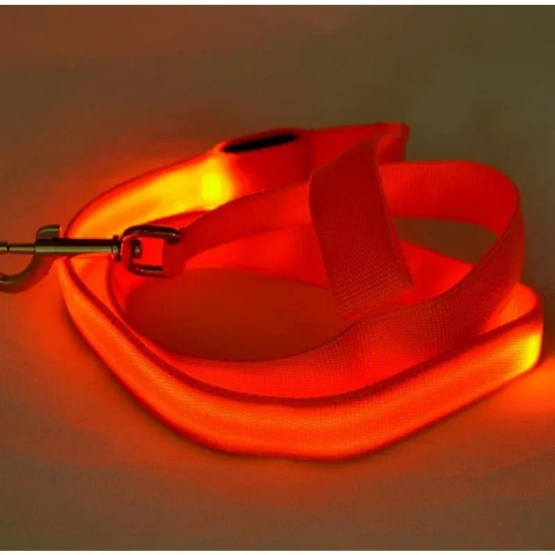 LED Glowing Dog Leash by NoEnName