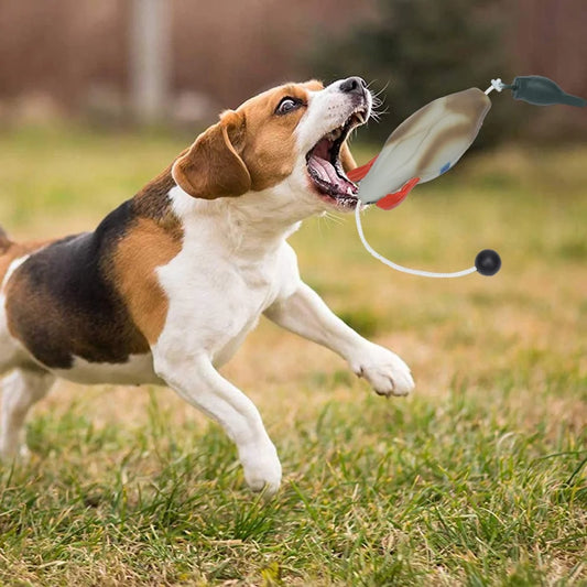 HiMISS Duck Bumper Training Dummy For Waterfowl Retrieval
