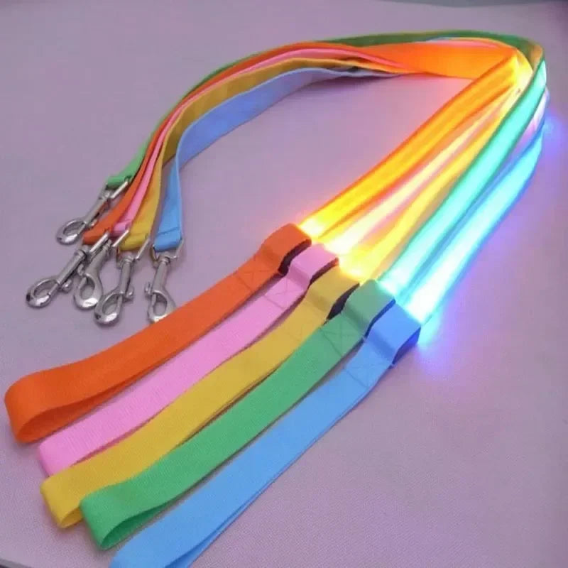 LED Glowing Dog Leash by NoEnName