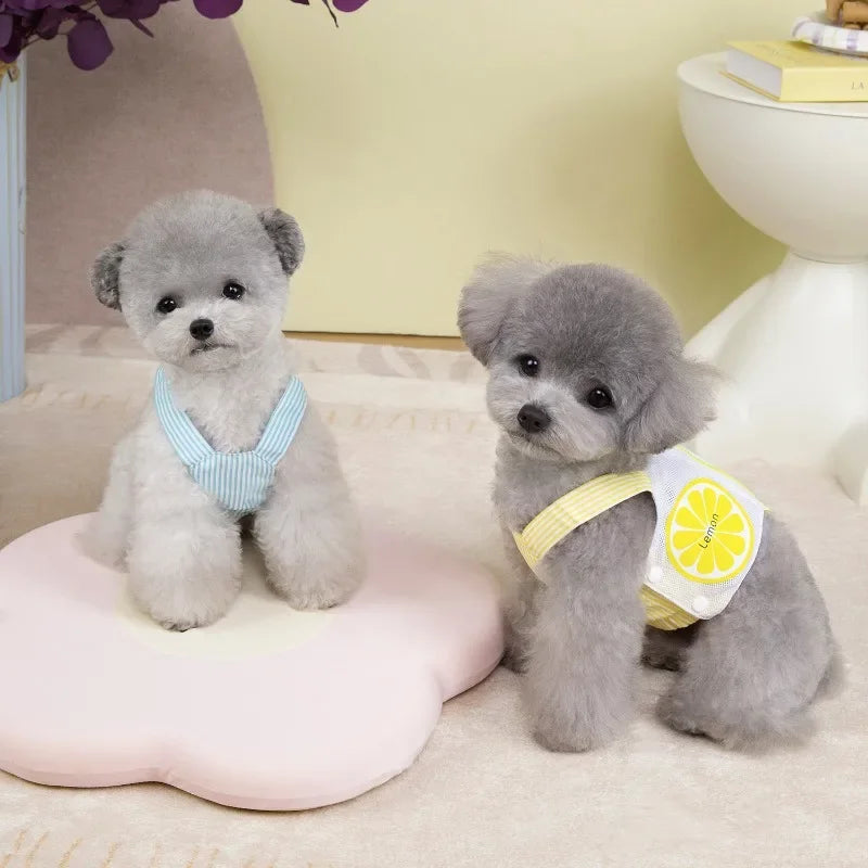 Pet Dog Harness Vest Summer Breathable Puppy Accessories Blue Yellow Dog Harnesses With Leash Kitten Chest Strap Leash Set XXL